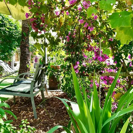 Bellabe Bed & Breakfast Nice