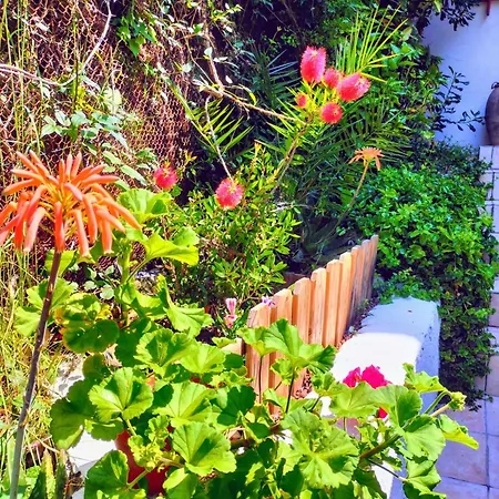 Bed & Breakfast Bellabe
